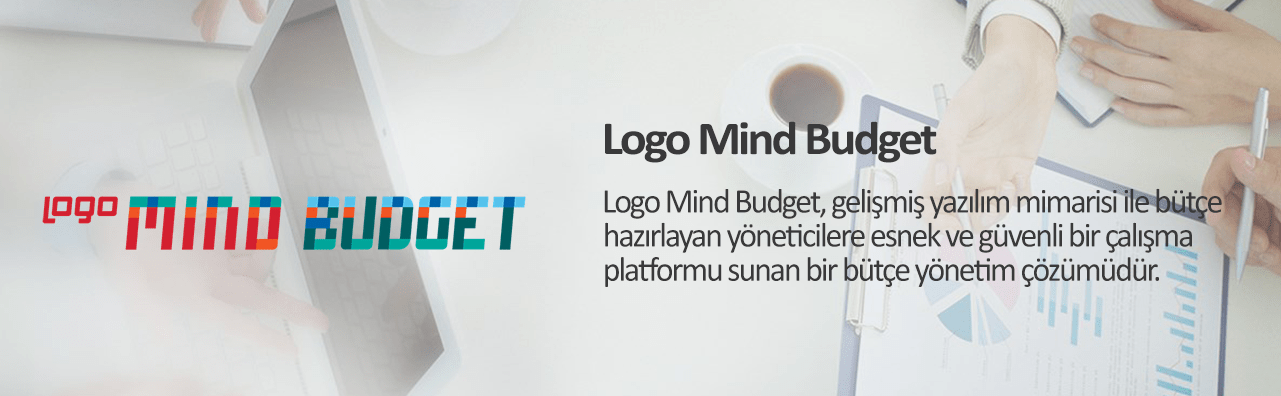 Logo Mind Budget (Bütçe)